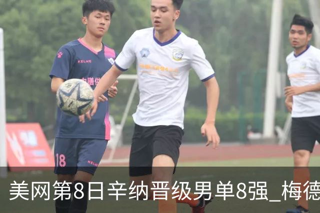 美网第8日辛纳晋级男单8强 梅德韦杰夫送蛋晋级